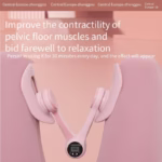 Home FitnessEquipment,Workout Equipment Of Arms,InnerThigh Toners Master,Leg ExerciseEquipment,Arm Trimmers Healthcare Kit Kegel Exercise Product - Image 4