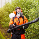 c57ce685 8882 454e be4d 02776e8e5439.jpg