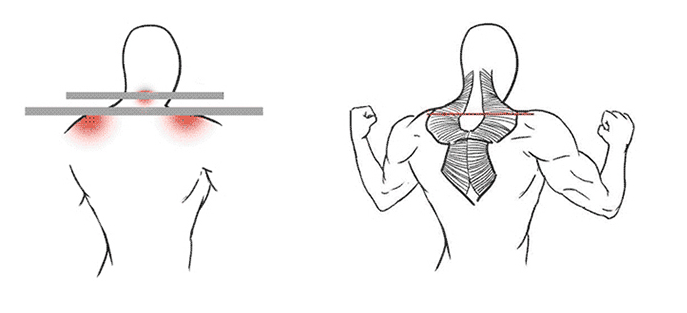 Barbell shoulder pad 7 Barbell shoulder pad