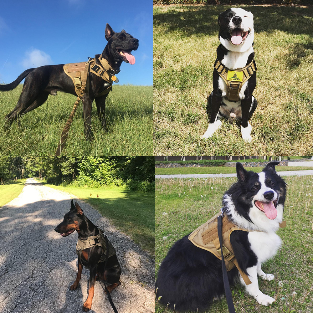 Military Tactical Dog Harness German Shepherd Adjustable Pet Dog Back 120 gGmXgvmgzdQG6PJEd0UPoAJldKMbIikIadFF