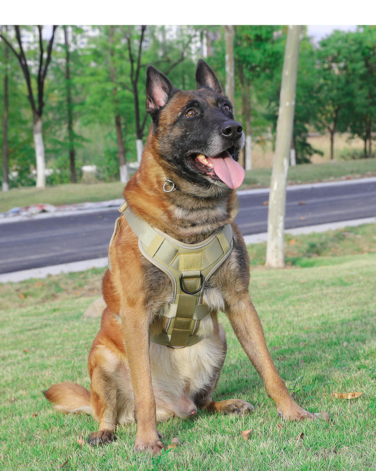 Dog Anti-breakaway And Anti-rush Reflective Breathable Chest Harness 36 Dog Anti-breakaway And Anti-rush Reflective Breathable Chest Harness