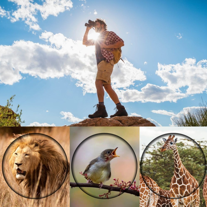 Telescope 60X60 Powerful Binoculars Hd High Magnification For Outdoor Hunting Optical Scopes Lll Night Vision Fixed Zoom 7 71ih5j56d-L._SL1000_