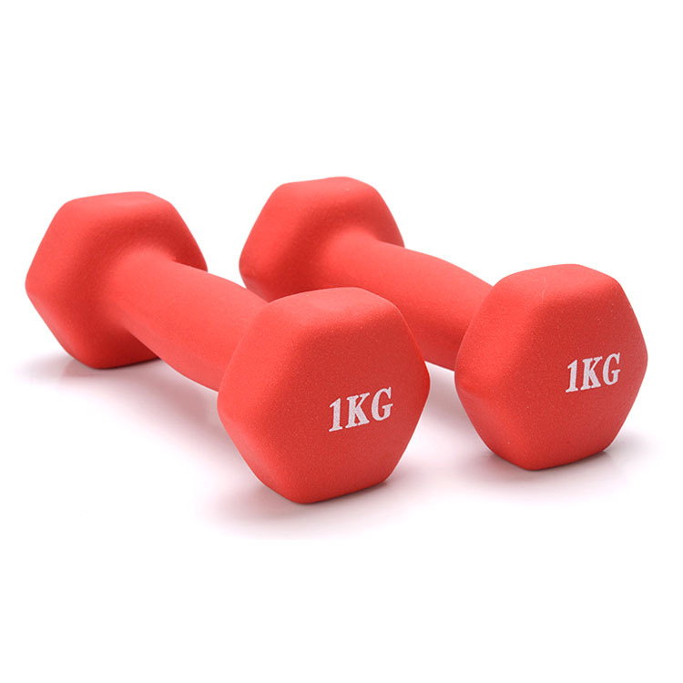 Fitness yoga dumbbell 20 Fitness yoga dumbbell