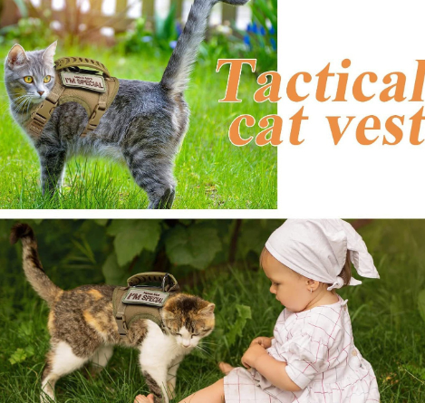 Tactical Cat Chest Strap Vest Hand Holding Rope Anti Breaking Loose 24 Tactical Cat Chest Strap Vest Hand Holding Rope Anti Breaking Loose