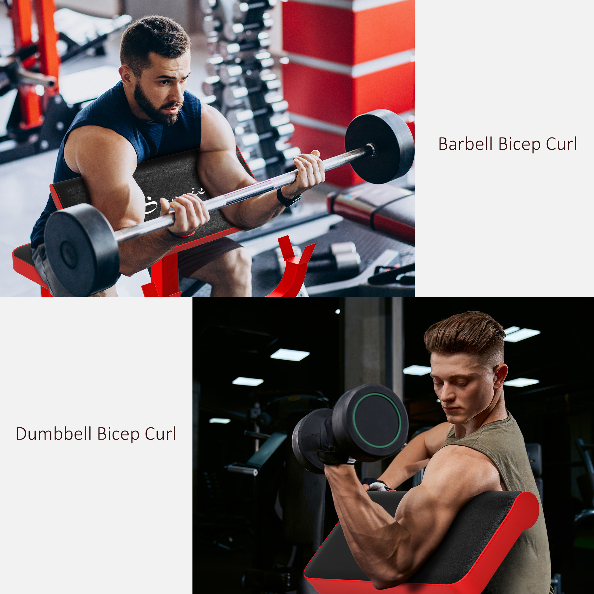 265 LBS Preacher Curl Bench for Strength Training, Adjustable Seated Arm Isolated Barbell Dumbbell Bicep Station, Red 29 Product Image