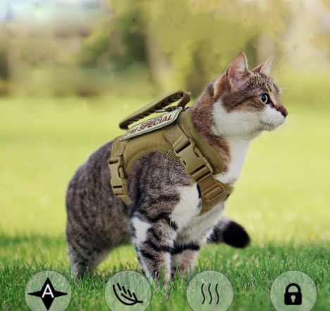 Tactical Cat Chest Strap Vest Hand Holding Rope Anti Breaking Loose 13 Tactical Cat Chest Strap Vest Hand Holding Rope Anti Breaking Loose