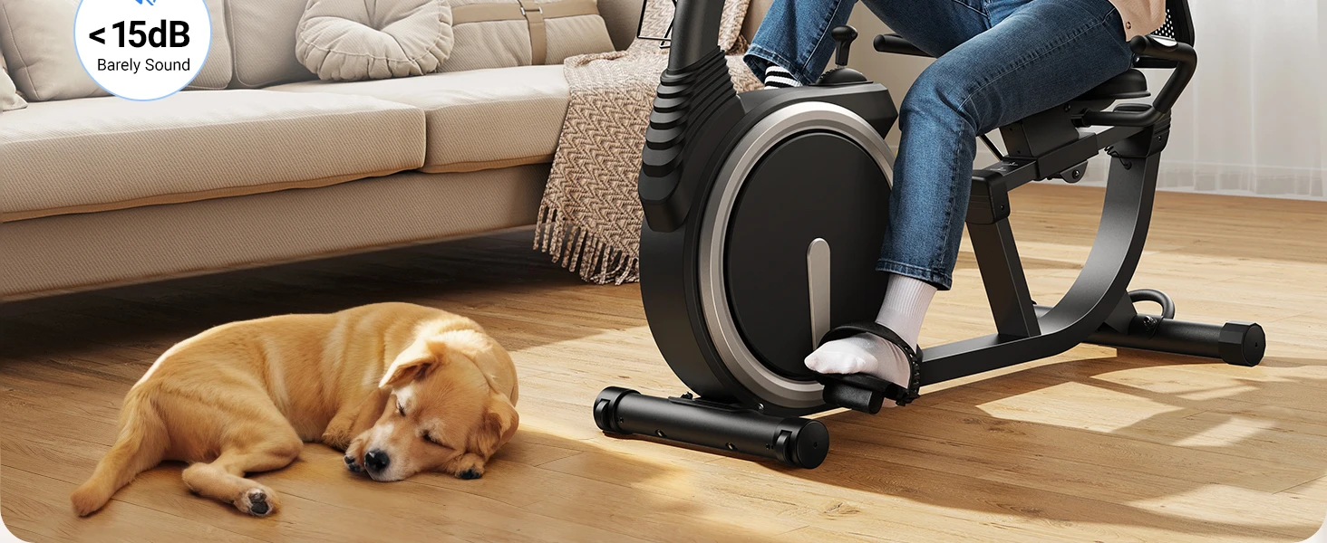 High-End Recumbent Exercise Bike – Magnetic Stationary Bike for Seniors & Adults 7 High-End Recumbent Exercise Bike – Magnetic Stationary Bike for Seniors & Adults