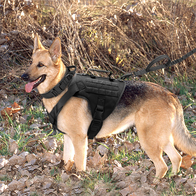 Tactics K9 Chest Harness Vest Type Dog Collar 11 Tactics K9 Chest Harness Vest Type Dog Collar