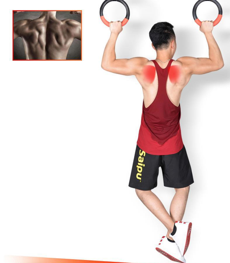 Gymnastic Ring Fitness Ring Horizontal Bar 18 Gymnastic Ring Fitness Ring Horizontal Bar
