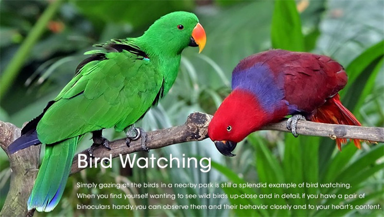 Telescope 60X60 Powerful Binoculars Hd High Magnification For Outdoor Hunting Optical Scopes Lll Night Vision Fixed Zoom 26 HTB1Td.INpXXXXbIaXXXq6xXFXXX1