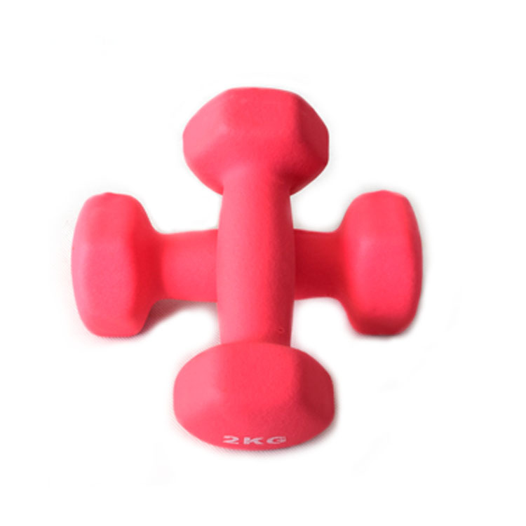 Fitness yoga dumbbell 19 Fitness yoga dumbbell