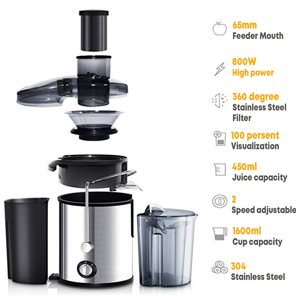 800W Electric juicer 10 800W Electric juicer