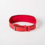 Fitness Belt Squat Fitness Exercise Waist Support - Image 5