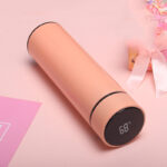 Fitness Eddy™ Smart LED Temperature Sensing Bottle – 500ml Stainless Steel Vacuum Flask