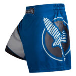 Men Graphic Training Shorts – Premium Lightweight Gym Sportswear Trunks & Athletic Running Performance Pants