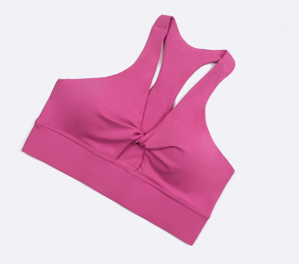 Yoga Sports Workout Bra - Hollow Back Shaping Shockproof