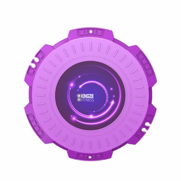 Twisting Disc Home Fitness Large Magnetic Therapy - Image 2
