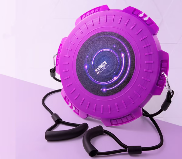 Twisting Disc Home Fitness Large Magnetic Therapy - Image 5