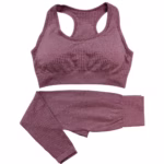 2PCS Seamless Yoga Set Women Tracksuit High Waist Leggings Workout Sportswear Gym Clothing Fitness Crop Top Sports Suits Gym Set - Image 10