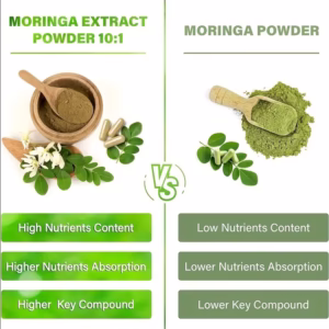 Pura Moringa Capsules – 60 Count | Energy, Metabolism & Immune Support - Image 5