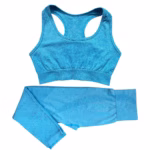 2PCS Seamless Yoga Set Women Tracksuit High Waist Leggings Workout Sportswear Gym Clothing Fitness Crop Top Sports Suits Gym Set - Image 3