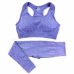 2PCS Seamless Yoga Set Women Tracksuit High Waist Leggings Workout Sportswear Gym Clothing Fitness Crop Top Sports Suits Gym Set - Image 2