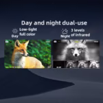 Infrared Digital Night Glasses Camera 600 M Night Vision HD Outdoor Binocular - Image 5