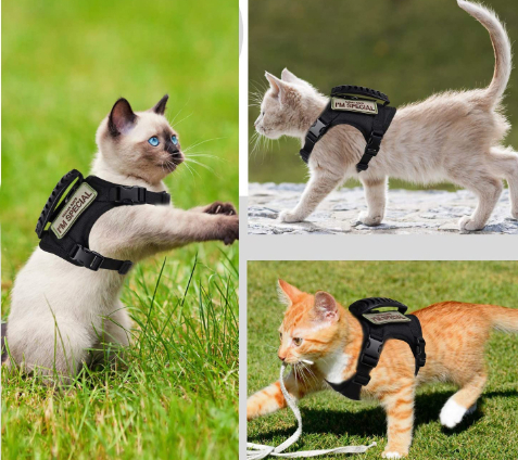 Tactical Cat Chest Strap Vest Hand Holding Rope Anti Breaking Loose