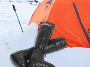 021fe45c 0b4e 42ae aabe a229bc10c2b3.jpg