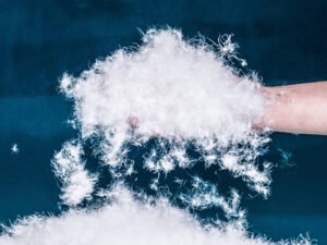 07a7de4e 12f1 4ca1 b683 43e91ec5bf09.jpg