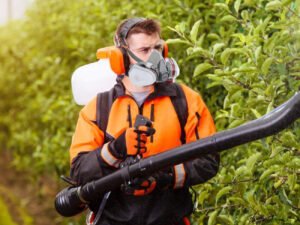 c57ce685 8882 454e be4d 02776e8e5439.jpg