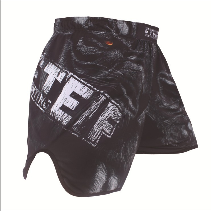 Kickline split-side MMA shorts - image 3