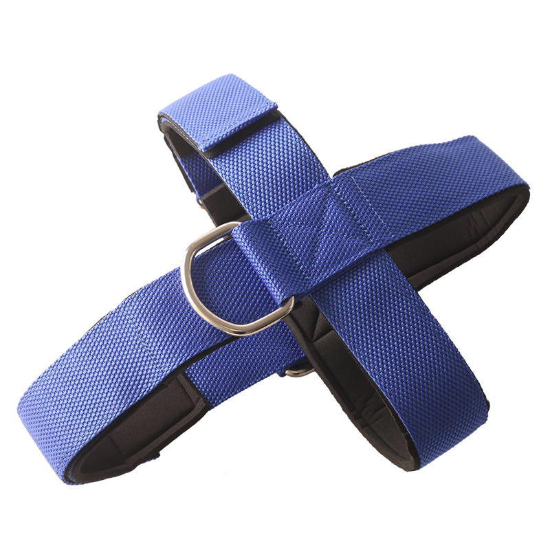 Neck Strength Training Harness – Premium Nylon Weight-Bearing Exercise Cap & Progressive Cervical Conditioning