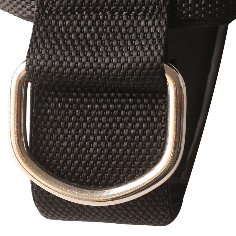 Neck Strength Training Harness – Premium Nylon Weight-Bearing Exercise Cap & Progressive Cervical Conditioning